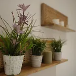 Studio With Private Entrance - 8A